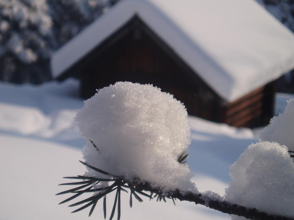 Ferienhaus Bergfreund Mittenwald Pokój zdjęcie